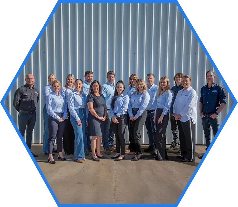 Vex group team